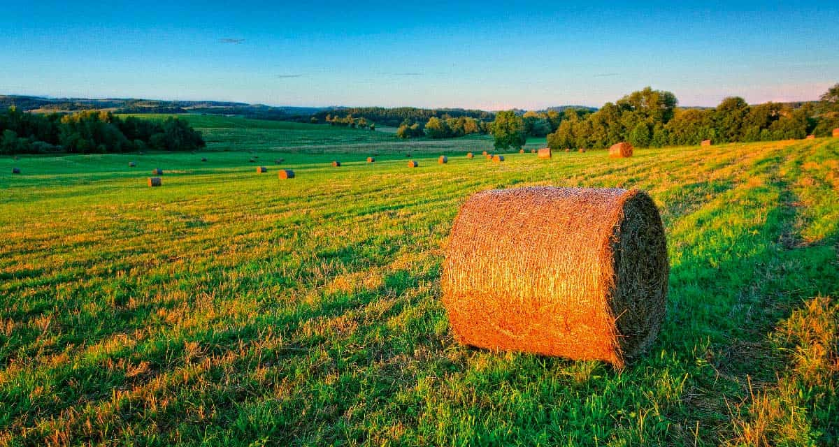 Pravna lica - Informativna ponuda - Poljoprivreda